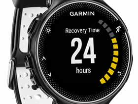 Garmin Forerunner 230